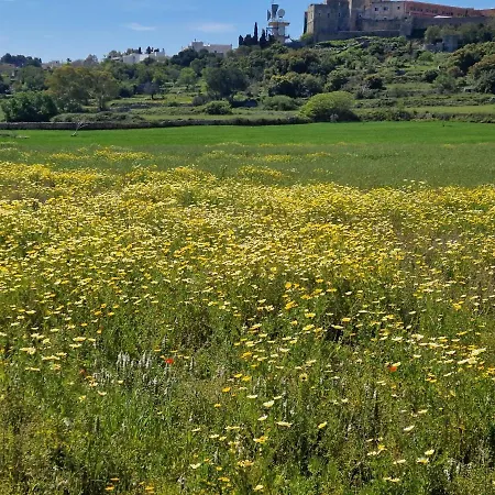 Ninetta Mia אלסאנו