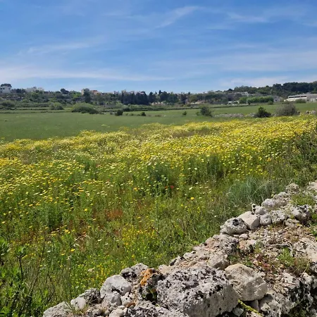 Ninetta Mia Alessano